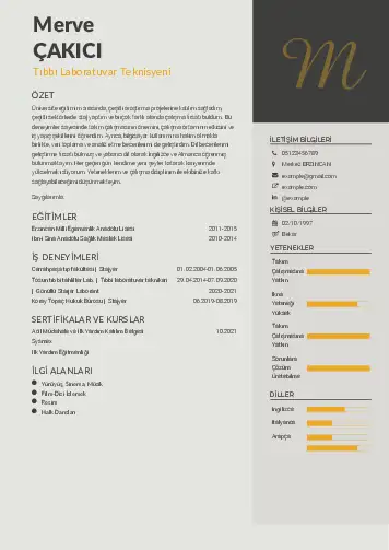 Laboratuvar Teknisyeni Cv Örnekleri cv indir